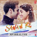 Sanam Re movie poster